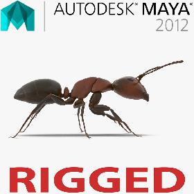 Red Ant Rigged for Maya